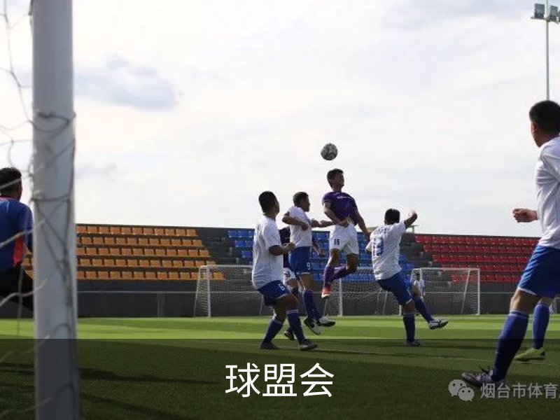 球盟会简介